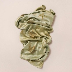 Algae