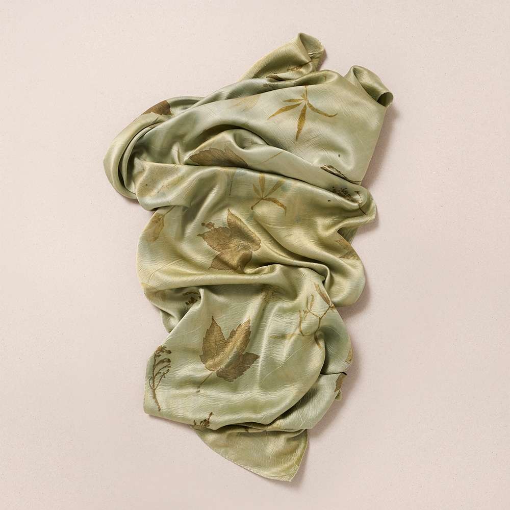 Algae