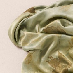 Algae
